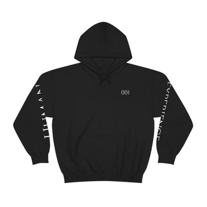 Human Experience "Genesis" 001 - Hooded Sweatshirt